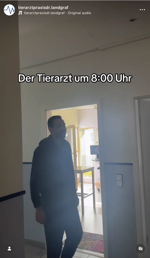 Der Tierarzt um 8:00 Uhr – Reel aus der Praxis