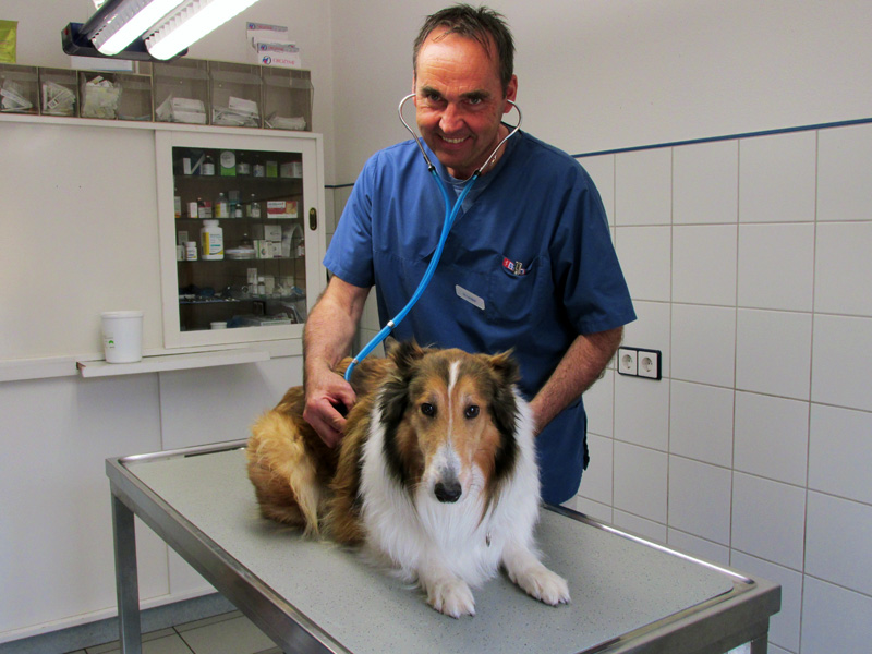 Tierarzt - Dr. Klaus Landgraf, 91522 Ansbach